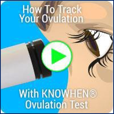 Test saliva daily to determine if you're ovulating