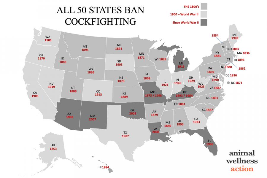 Cockfighting Map