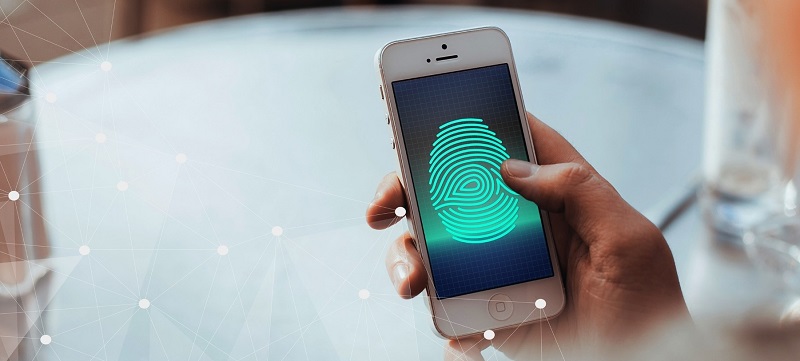 Biometric Payment Market