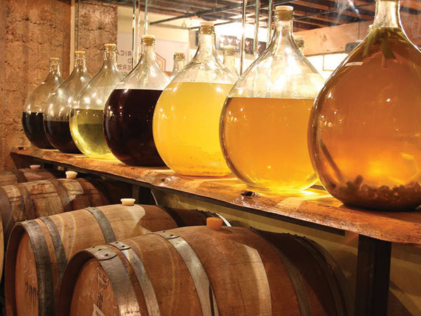 Honey Wine Market