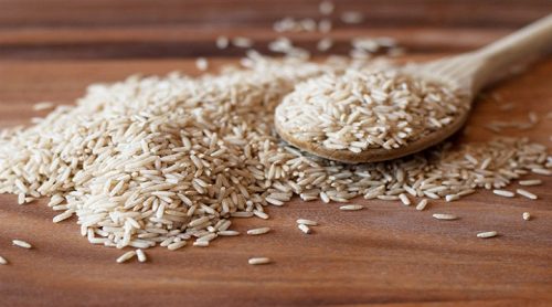 Rice Protein Market