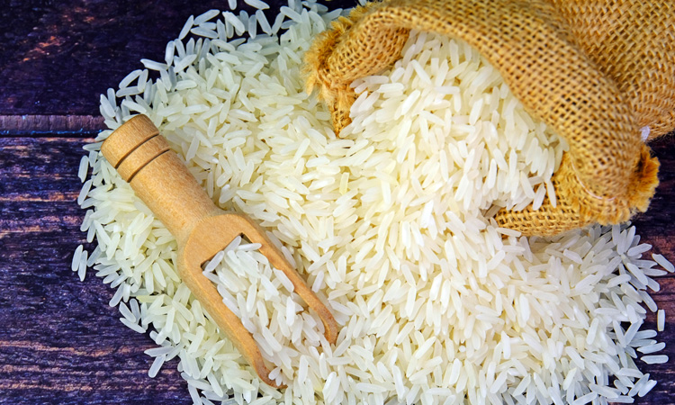 Rice