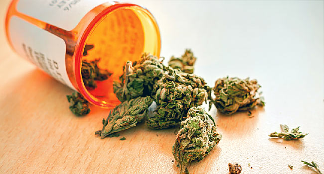 Marijuana Market - 2020-2026