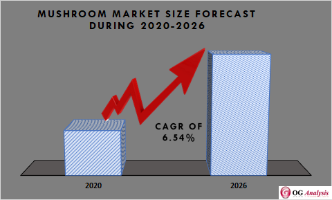Global Mushroom Market