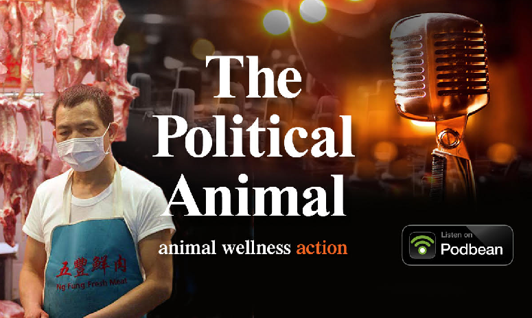The Political Animal Podcast Episode 8