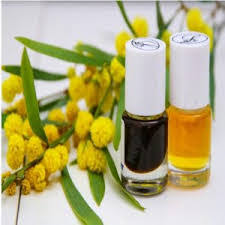 Mimosa Oil Market