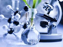 Global Biotechnology Market