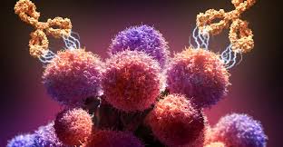 Global Cancer Monoclonal Antibodies Market