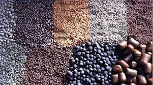 Global Aquafeed Market