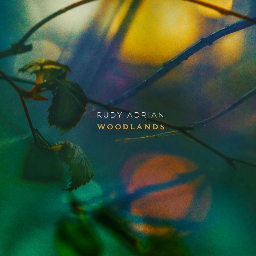 colorful impressionistic forest and light