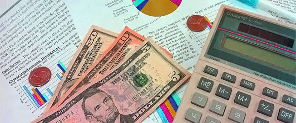 Finance and Accounting and Tax Software Market - 2019-2025
