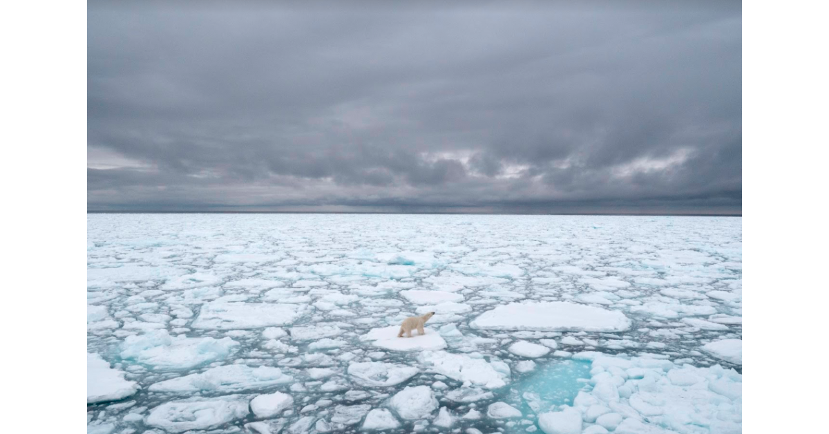 Arctic Sea Ice Day Raises Awareness About the Importance of Sea Ice