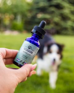 Earth Buddy’s study on pet mobility used their two hemp extracts, containing CBD and CBDa.