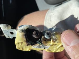 new bern nc electricians - https://electriciannewbernnc.com/