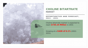 Choline Bitartrate Market CAGR