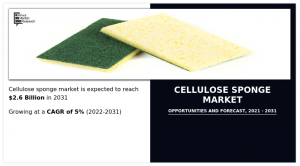 Cellulose Sponge Market CAGR