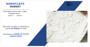 Nanoclays Market CAGR