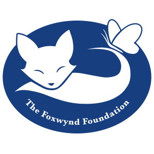 Blue fox with a butterfly resting on its tail, styled in a clean, modern design with the words ‘The Foxwynd Foundation'