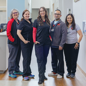 The Ally Medical Team