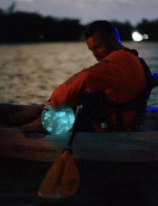 BK Adventure guide holding glowing comb jellies during a bioluminescence tour.jpg