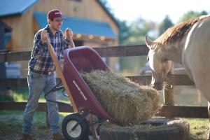 Scenic Road Wheelbarrow