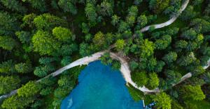 A top down photo of a forest, winding paths and a blue lake. Image symbolizes nature and the sustainability goals highlighted in the Azzera and Vertis Environmental Finance emissions compliance partnership.