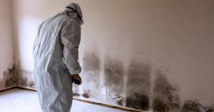 A professional cleaner working to remove black mold.