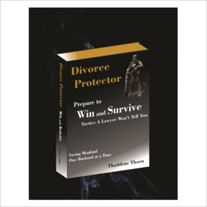 Divorce Protector book cover.