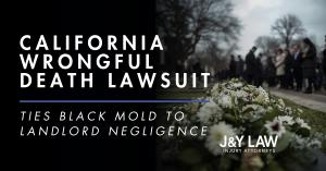 New wrongful death lawsuit in California ties black mold to landlord negligence