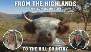 Mini Highland cow documentary thumbnail featuring a Highland calf with Brandon and Shelly Blaker of Hairy Heifer Cattle Company.