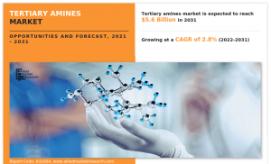 Tertiary Amines Market CAGR