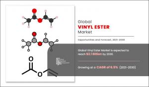 Vinyl ester Market, by Application