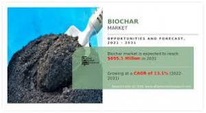 Biochar Market, by Application