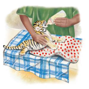 Art of baby Zoya being fed by a zookeeper