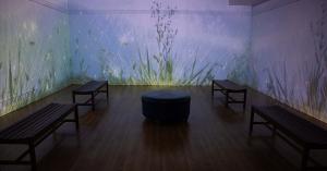 Photo of a video installation at the Morris Museum.