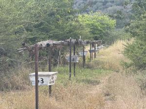 Butterfly Pavilion supports the creation of Africa’s proclaimed longest bee hive fence, a sustainable solution that guides elephants away from crops using active honey bee hives.