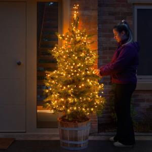 Person decorating a potted outdoor Christmas tree with warm glowing solar lights.