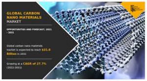Carbon Nano Materials Market Product Type
