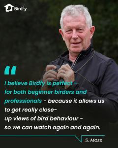 Bringing you the world of birds.