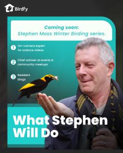 Go birdwatching anywhere, anytime.