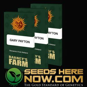 Barneys Farm and Seeds Here Now logos
