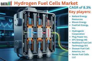 Hydrogen Fuel Cells Market Size