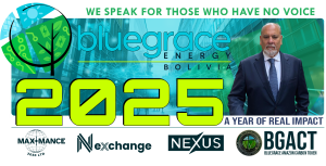 BGEB 2025 In Retrospective