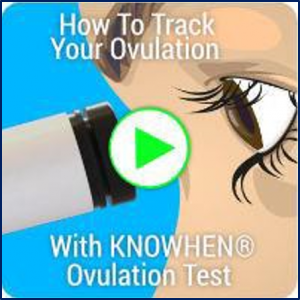 Test saliva daily to determine if you're ovulating