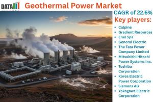Geothermal Power Market
