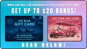 GIFT CARDS 2025 PROMO - UP TO $20 BONUS