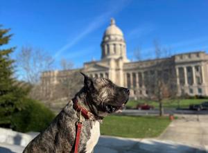 Ethan Almighty at the Kentucky Senate