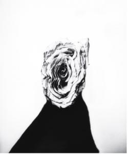 Takamitsu Sakamoto, “An Enduring Afterglow” from “Flower” Exhibition (Photo credit: Takamitsu Sakamoto ©2025, Courtesy of MvVO ART)