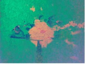 Takamitsu Sakamoto, “Bouquet of Nebulae” from “Flower” Exhibition (Photo credit: Takamitsu Sakamoto ©2025, Courtesy of MvVO ART)