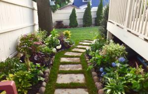 Landscape Design